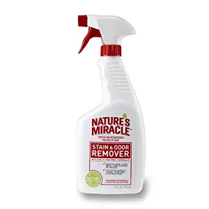 Nature's Miracle Stain & Odor Remover