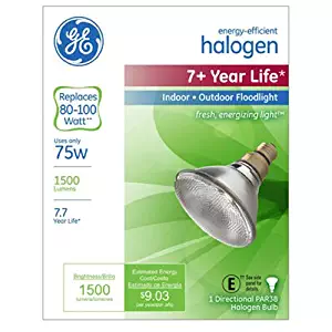 GE Lighting 62231 Energy-Efficient Halogen 75-Watt (90-watt replacement) 1500-Lumen PAR38 Floodlight Bulb with Medium Base, 1-Pack