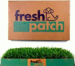 Fresh Patch Disposable Dog Potty with Real Grass - As Seen on Shark Tank