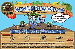 Bug Sales 50 Million Live Beneficial Nematodes Hb - Soil Pest Exterminator