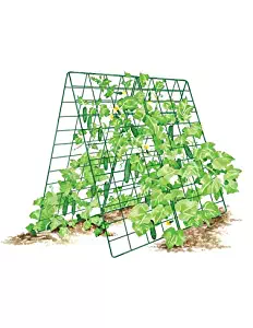 Gardener's Supply Company Deluxe Cucumber Trellis