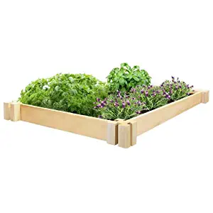 Greenes 2 Ft. X 4 Ft. Cedar Herb Garden Kit