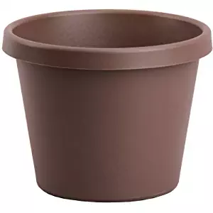 Akro Mils LIA24000E21 Classic Pot, Chocolate, 24-Inch