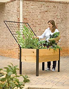 Elevated Cedar Planter Box and Space-Maker Pivoting Trellis Set, 2 x 4