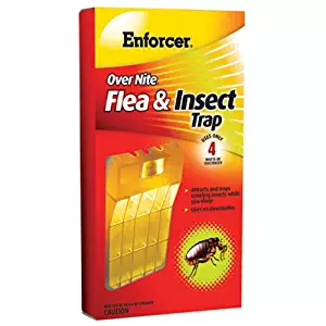 ZEP ONFT-1 Overnite Flea & Insect Trap