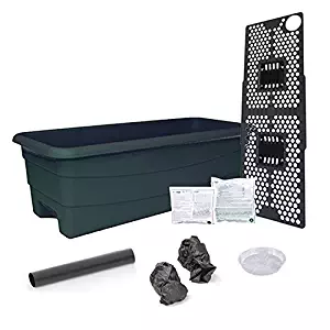 EarthBOX 80601.01 Junior Garden Kit, Standard, Green