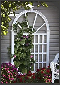 Vienna 49"W x 84"H Vinyl Trellis