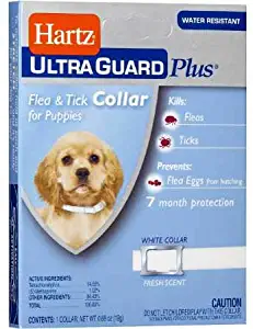 Hartz Ultraguard Flea & Tick Collars for Dogs and Cats