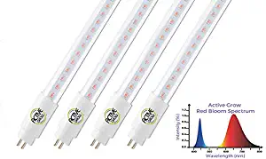 Active Grow T5 High Output 4FT LED Grow Light Tube for Fruits, Flowers & Blooming Plants - 24 Watts - Red Bloom Dedicated Spectrum - Direct Replacement - UL Marked - 4-Pack