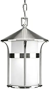 Progress Lighting P6506-135 Med Hanging Lantern, 1-100-watt