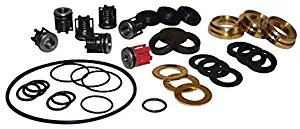 Karcher Pump Repair Kit - HD3600DH, 3504 & More 2.884-217.0