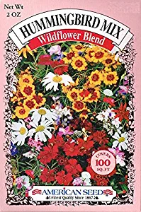 American Seed Hummingbird Mix, Wildflower Blend, 100 Square Foot Shaker Box (2 Ounce)