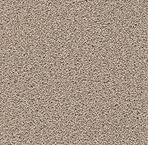 Exceptional Hazelnut Cream | Plush Indoor Area Rug Carpet  (6 inch x 6 inch Sample)