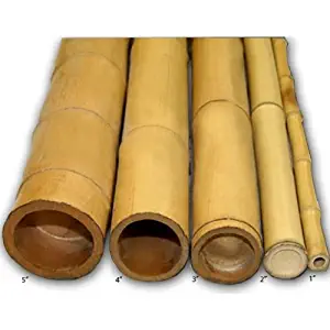 Forever Bamboo Bamboo Poles 2in D x 8ft L (10Pieces)