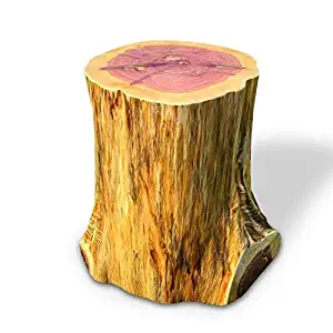 Knaughty Log Co Tree Stump Side Table | We Plant a Tree for Every Stump Sold | 12" Wide X 20" Tall