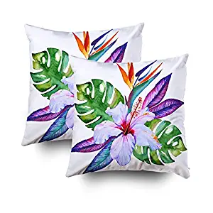 Jacrane Good, Decorative Square Throw Pillowcase 18X18 Set of 2 Tropical Flowers in Watercolhibiscus Plumeria Monstera Palm Bird Paradise Soft Art Gift with Zip