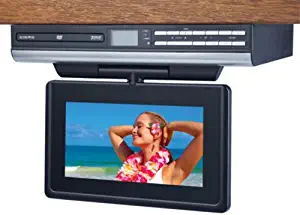 Audiovox VE927 9-Inch LCD Drop-Down TV with Built-In DVD Player and Clock Radio (Silver)