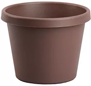 Akro-Mils LIA08000E21 Classic Pot, Chocolate, 8-Inch