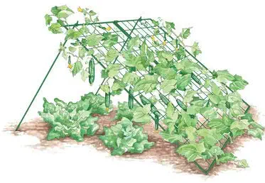 Gardener's Supply Company Large Cucumber Trellis