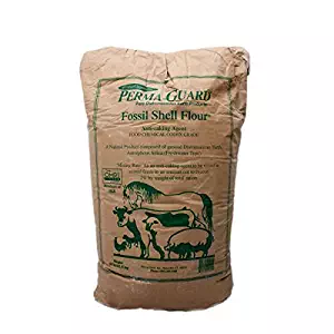 Bundle: 100% Food grade Diatomaceous Earth 50lb Bag W/Shaker Bottle