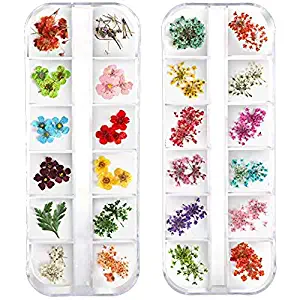 Teenior 24 Colors Nail Dried Flowers, 3d Nail Art Sticker for Tips Manicure Decor Mixed Accessories, Starry Leaves Flower (2 Boxes)