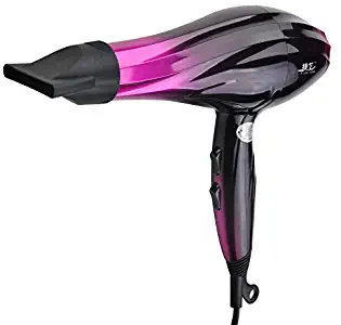 010 Professional Ionic Salon Hair Dryer, Ceramic Tourmaline Blow Dryer, Pro Ion Quiet Hairdryer Best Soft Touch Body (2800 W)