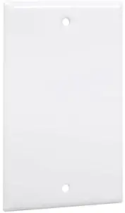 TayMac WW-B Standard Metallic Wallplate with Blank, Single Gang, White Smooth