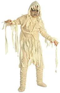 Universal Studios Deluxe Child's Mummy Costume, Medium
