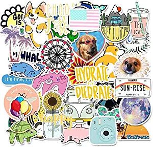 Cute Vsco Stickers 50 Pack - Lovely Trendy Aesthetic Ins Variety Sticker for Laptops Hydro Flask Water Bottles Travel Phone Case Hydroflask Skateboard, Waterproof Decals for Teens Vsco Girls Stuff