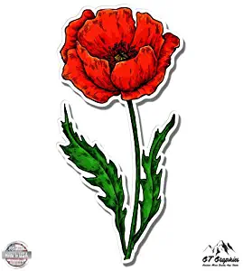 Poppy Flower - 3