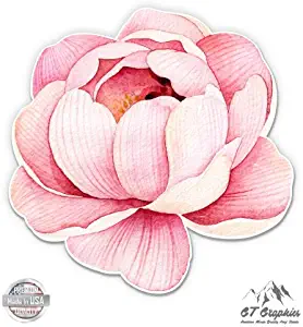 GT Graphics Watercolor Flower Beautiful - 3