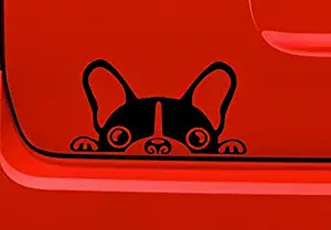 Boston Terrier (A2) Peeking Vinyl Decal Sticker Car/Truck Laptop/Netbook Window
