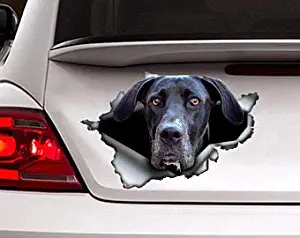 Black Great Dane Sticker, car Sticker, Black Great Dane Decal Vinyl Decal Sticker for Cars, Trucks, Windows, Walls, Laptops 11"