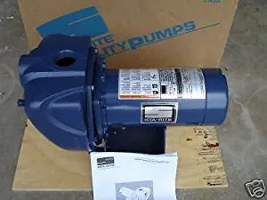 Sta-Rite DS3HF 1.5HP Centrifugal Pump