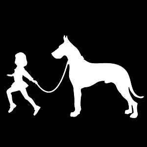 Girl Leading A Great Dane Dog Vinyl Decal Sticker | Cars Trucks Vans SUVs Laptops Walls Windows Cups | White | 7 X 4.2 | KCD2136